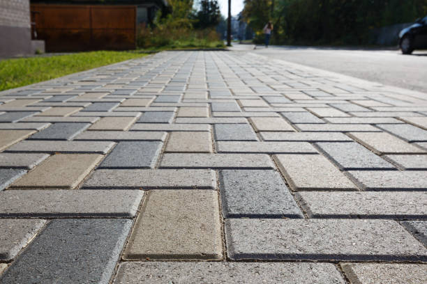 Best Professional Driveway Pavers  in Safety Harbor, FL